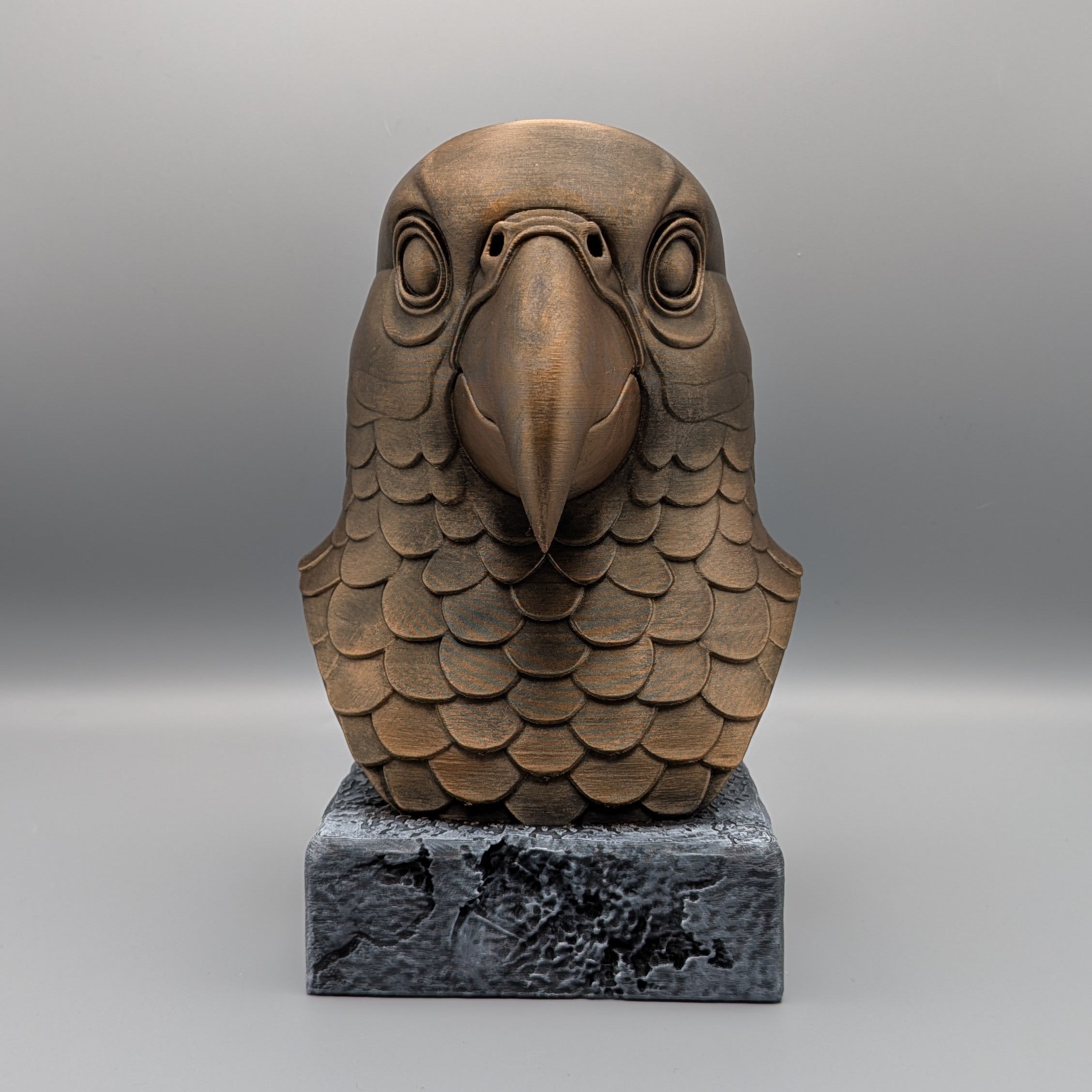 Parrot bust front view showing detailed beak and feather structure