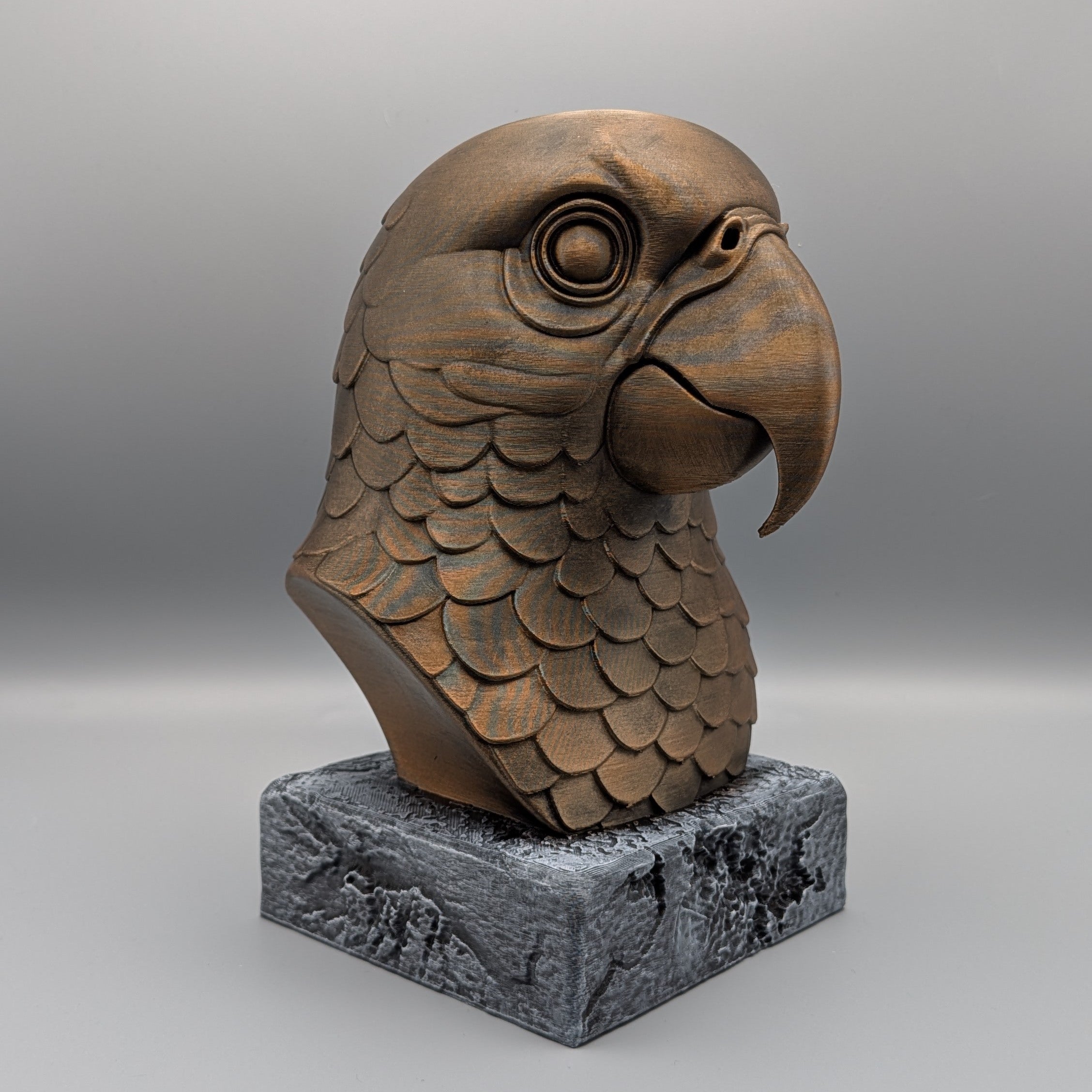 Parrot bust side view highlighting curved beak and layered feathers